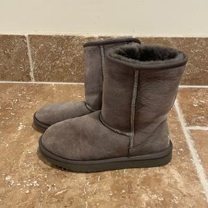 Grey Ugg Boots - Classic Short